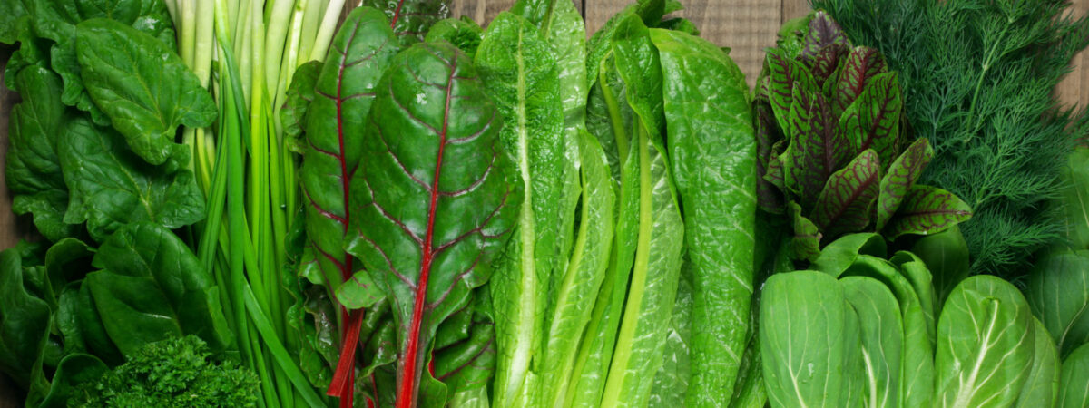 4 Essential Leafy Greens Every Senior Should Incorporate Into Their Diet